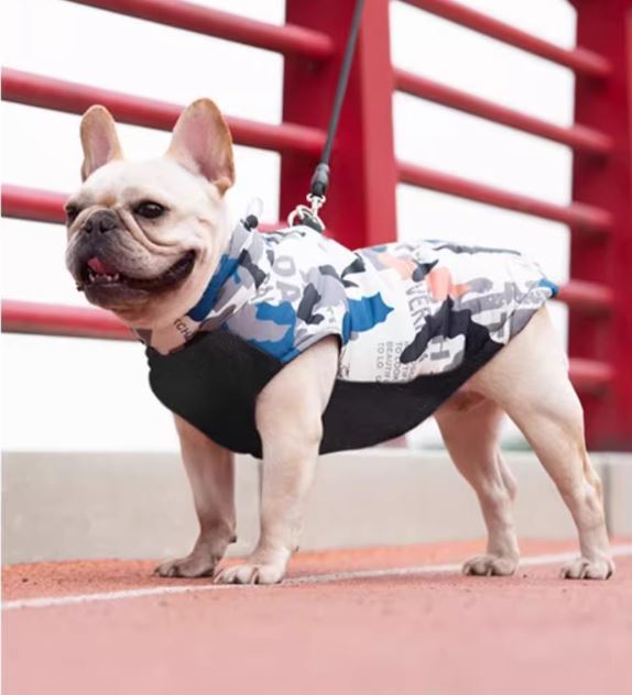 www.frenchie.shop-PupTrend-Premium-Frenchie-Jacket