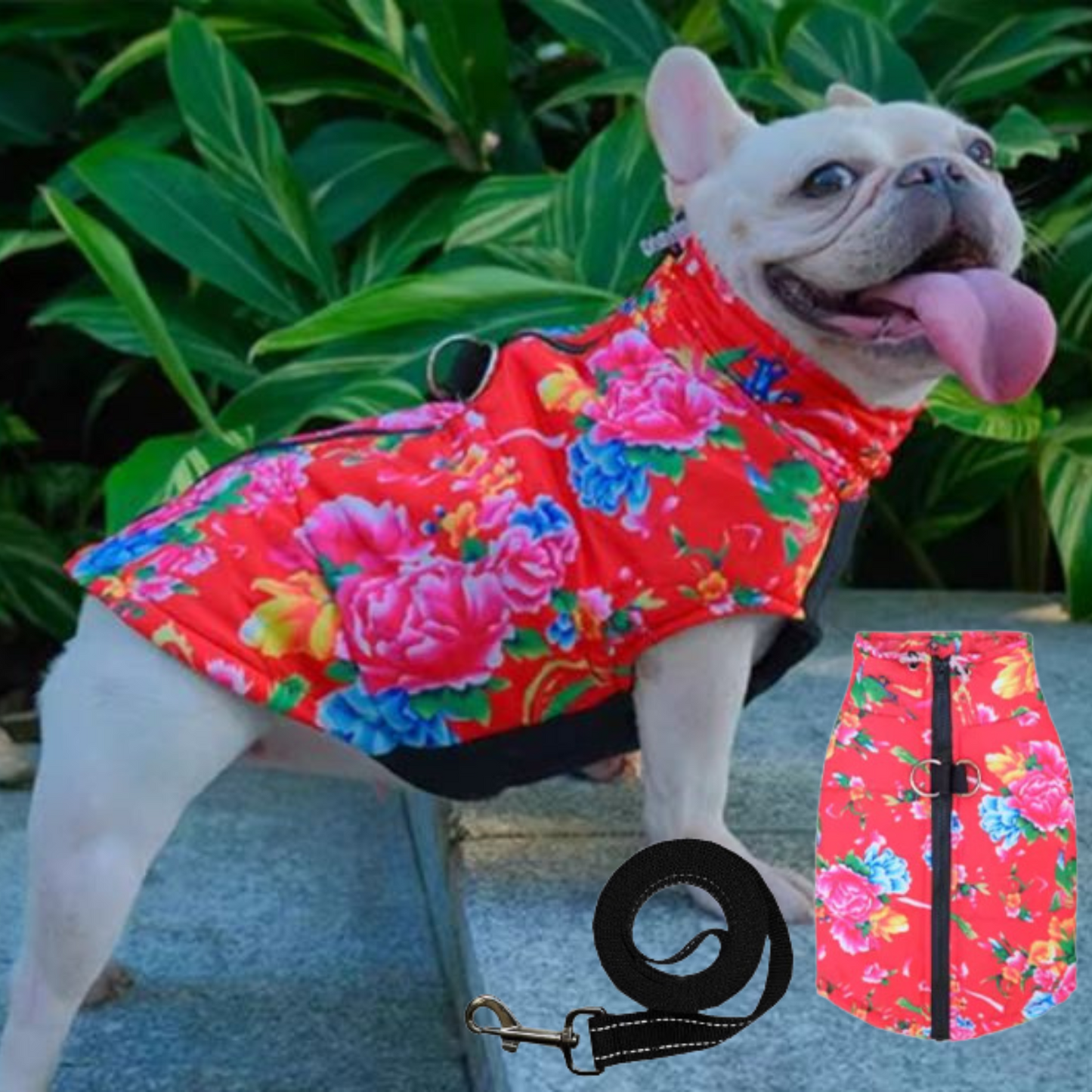 www.frenchie.shop-PupTrend-Premium-Frenchie-Jacket