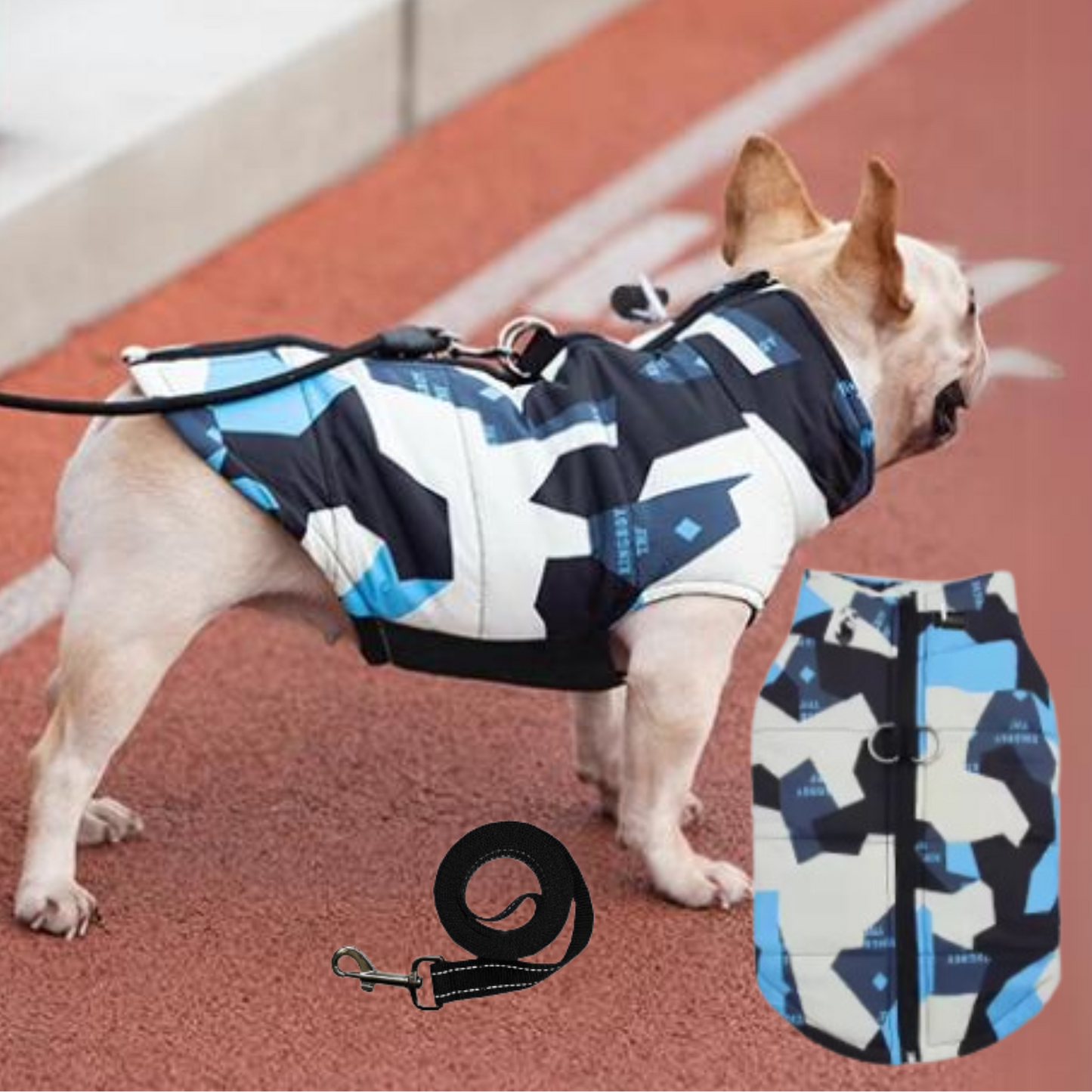 www.frenchie.shop-PupTrend-Premium-Frenchie-Jacket