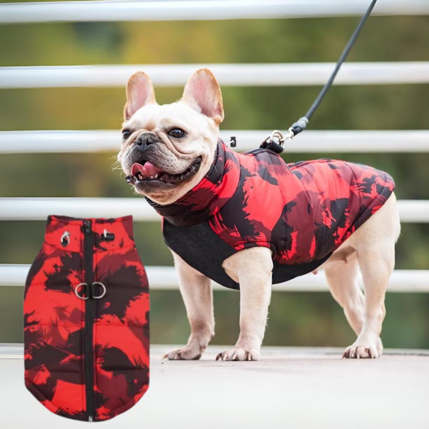 www.frenchie.shop-PupTrend-Premium-Frenchie-Jacket