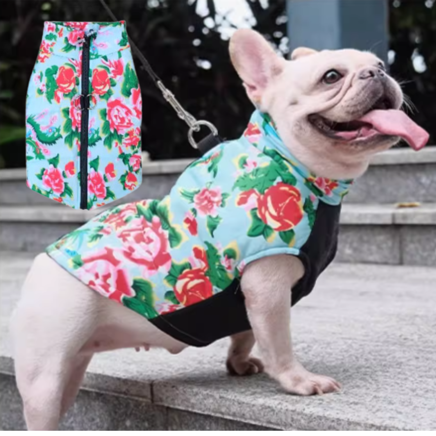 www.frenchie.shop-PupTrend-Premium-Frenchie-Jacket