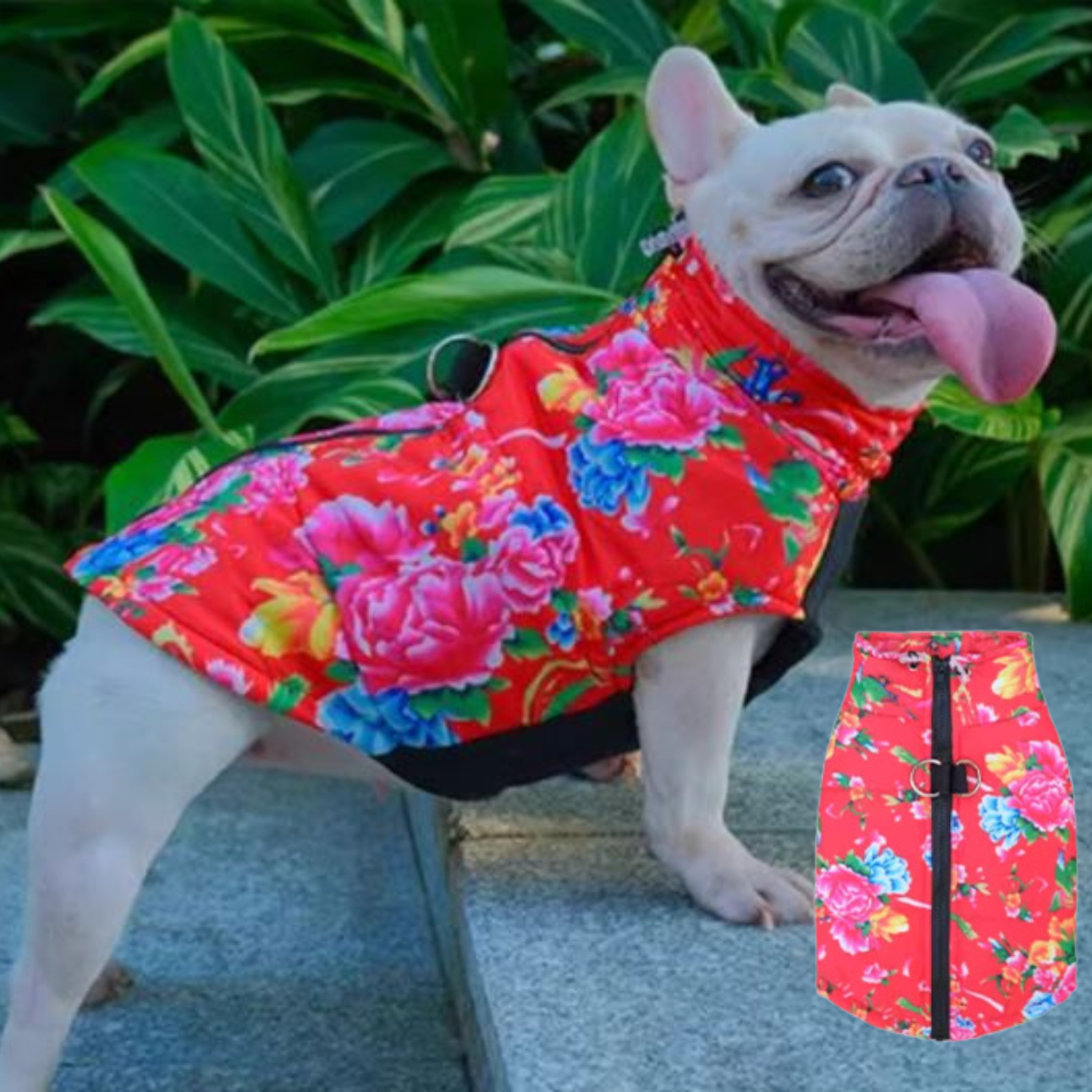 www.frenchie.shop-PupTrend-Premium-Frenchie-Jacket