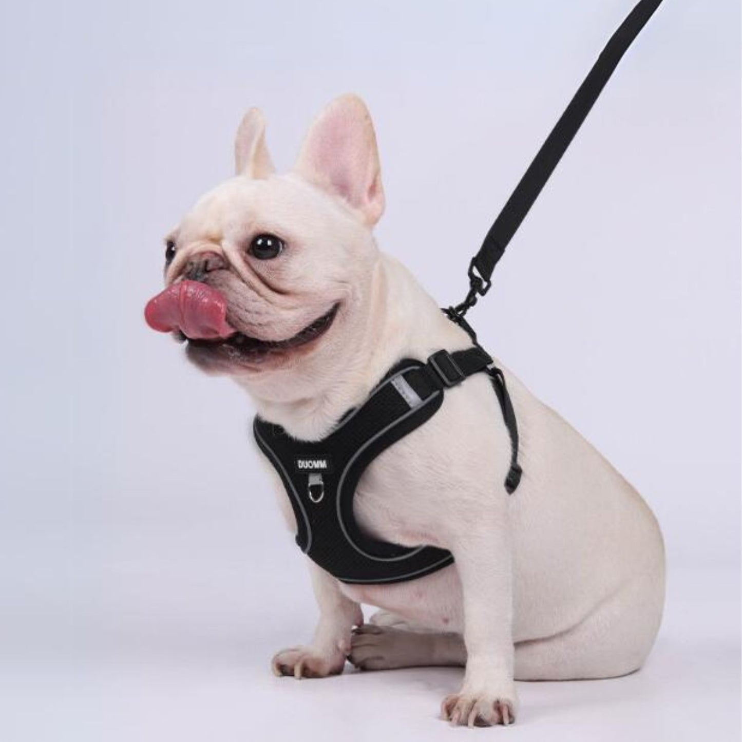 www.frenchie.shop-Pupure Explosion-Proof-No-Pull-Frenchie-Harness