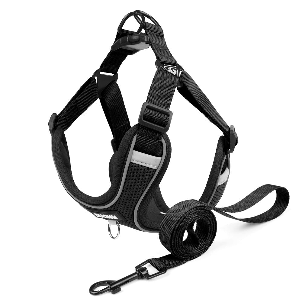 www.frenchie.shop-Pupure Explosion-Proof-No-Pull-Frenchie-Harness