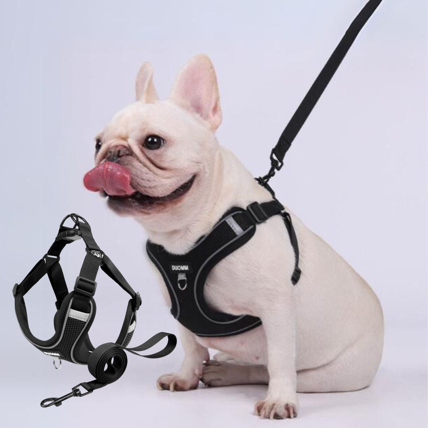 www.frenchie.shop-Pupure Explosion-Proof-No-Pull-Frenchie-Harness