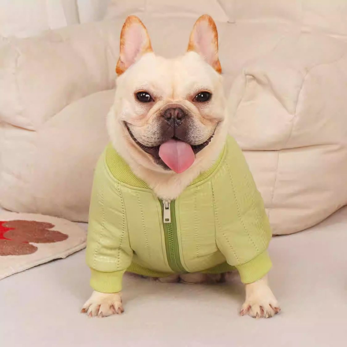 www.frenchie.shop-Quilted-Cotton-Frenchie-Jacket-Warm-and-Stylish-Winter-Coat-for-French-Bulldogs