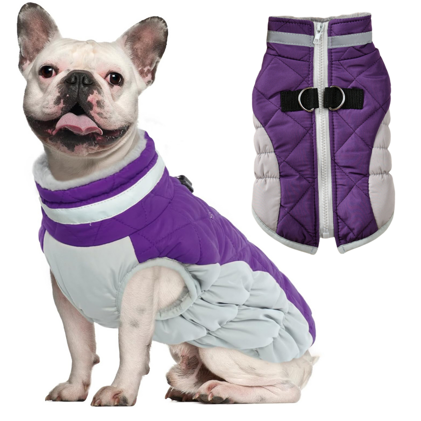 www.frenchie.shop-Reflective-Frenchie-Coat-with-Built-In-Harness