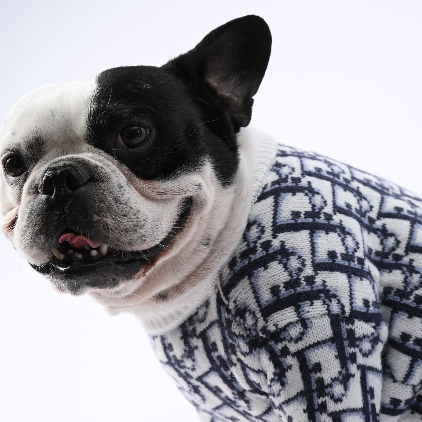 www.frenchie.shop-SnugStyle-Frenchie-Fashion-Winter-Sweater