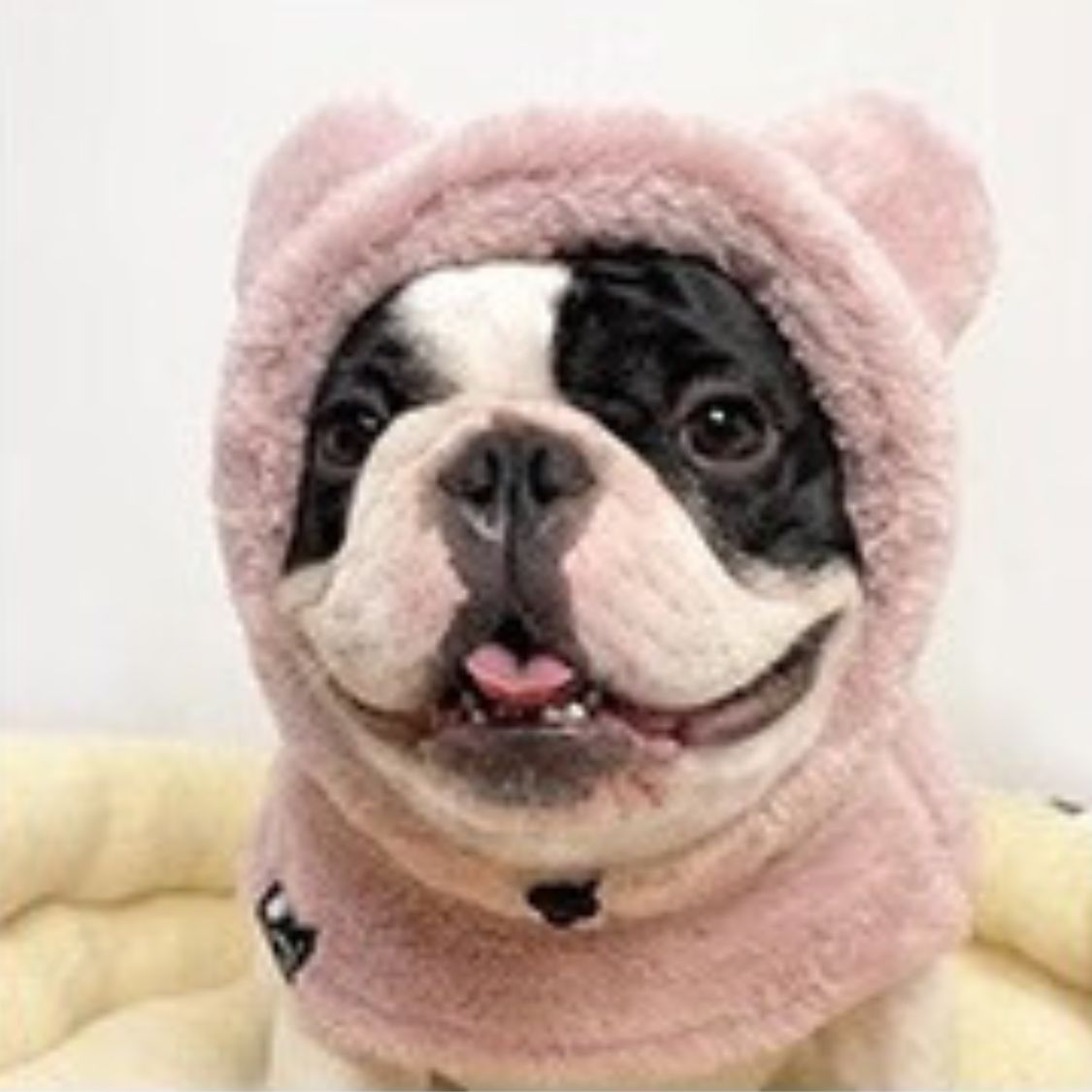 www.frenchie.shop-Warmie-Frenchie-Winter-Plush-Hat-brown