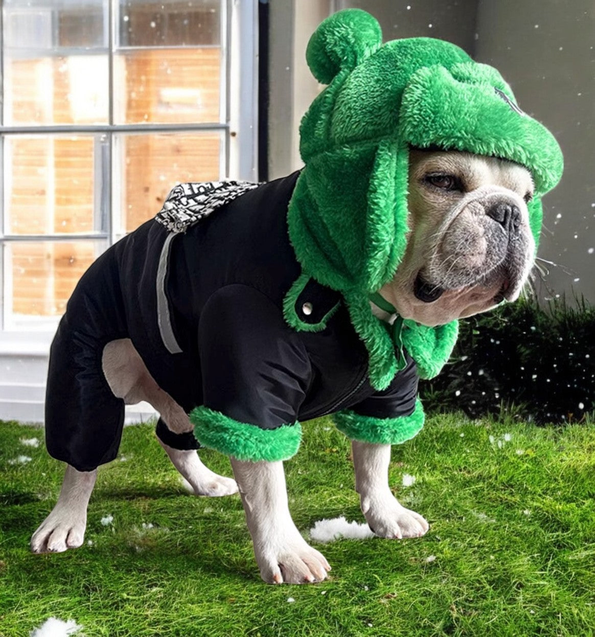 www.frenchie.shop-Winter-Warm-Dog-Hat - Cozy-Green-Lei-Feng-Style-for-French-Bulldogs