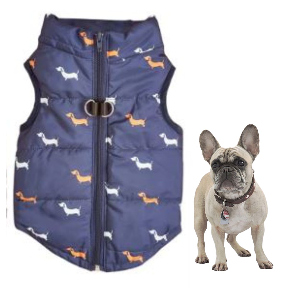 www.frenchie.shop-Zipper-Jacket-for-French-Bulldogs