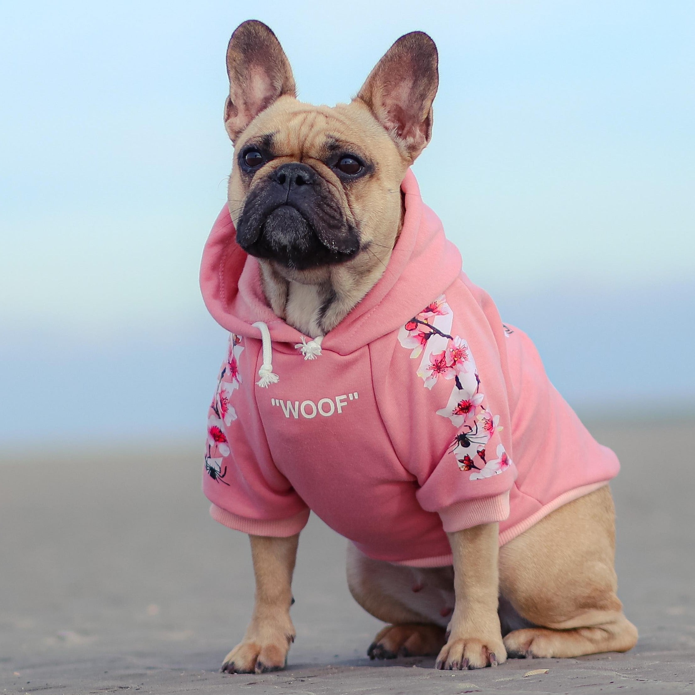 Frenchdot French Bulldog Woof Hoodie V3 frenchie Shop