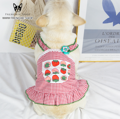 Queen Vest Skirt Frenchie Summer Dress (W318) - Frenchie Bulldog Shop