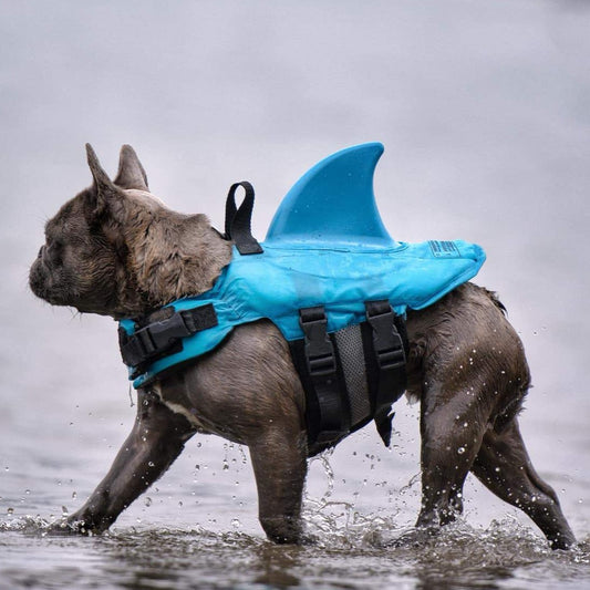 Shark Life Vest V2 (CS02) - Frenchie Bulldog Shop