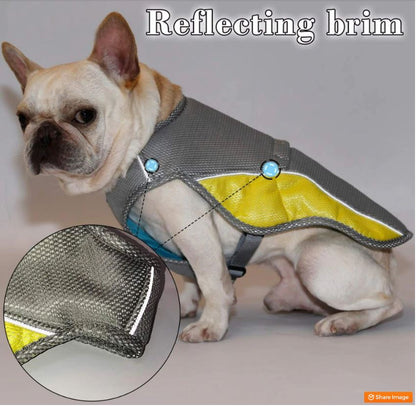 Coolify™ : Cooling Vest for Frenchie (CS13) - Frenchie Bulldog Shop