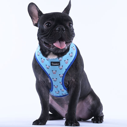 BlueHarmony - Frenchie Harness By MeeLo - Frenchie Bulldog Shop