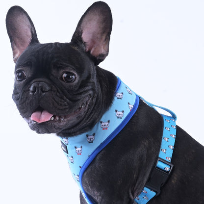 BlueHarmony - Frenchie Harness By MeeLo - Frenchie Bulldog Shop