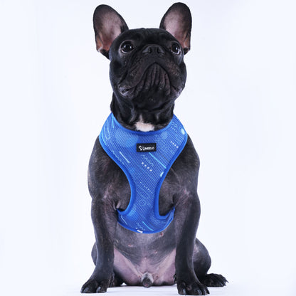 BlueHarmony - Frenchie Harness By MeeLo - Frenchie Bulldog Shop