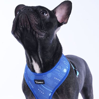 BlueHarmony - Frenchie Harness By MeeLo - Frenchie Bulldog Shop