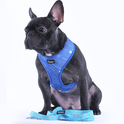 BlueHarmony - Frenchie Harness By MeeLo - Frenchie Bulldog Shop