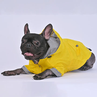 Cooper - French Bulldog Raincoat (WS123) - Frenchie Bulldog Shop