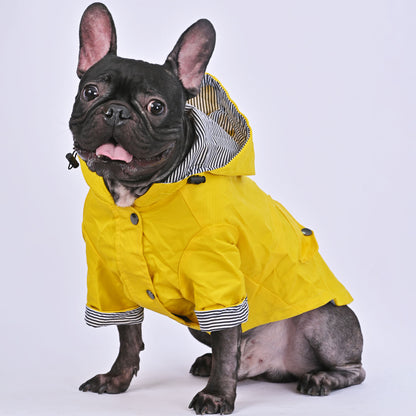 Cooper - French Bulldog Raincoat (WS123) - Frenchie Bulldog Shop