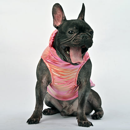 Snow Shield Frenchie Reflective Winter Warm Jacket V2 - Frenchie Shop