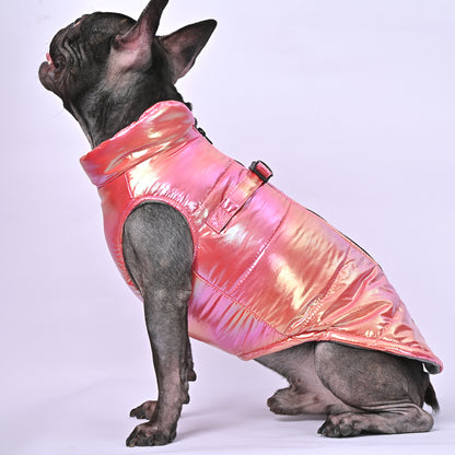 Snow Shield Frenchie Reflective Winter Warm Jacket V2 - Frenchie Shop