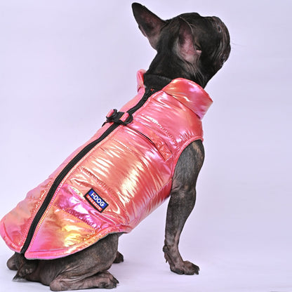 Snow Shield Frenchie Reflective Winter Warm Jacket V2 - Frenchie Shop