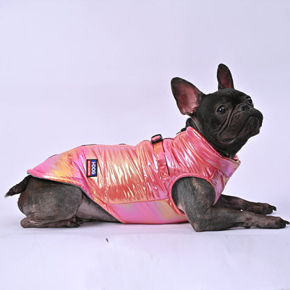 Snow Shield Frenchie Reflective Winter Warm Jacket V2 - Frenchie Shop