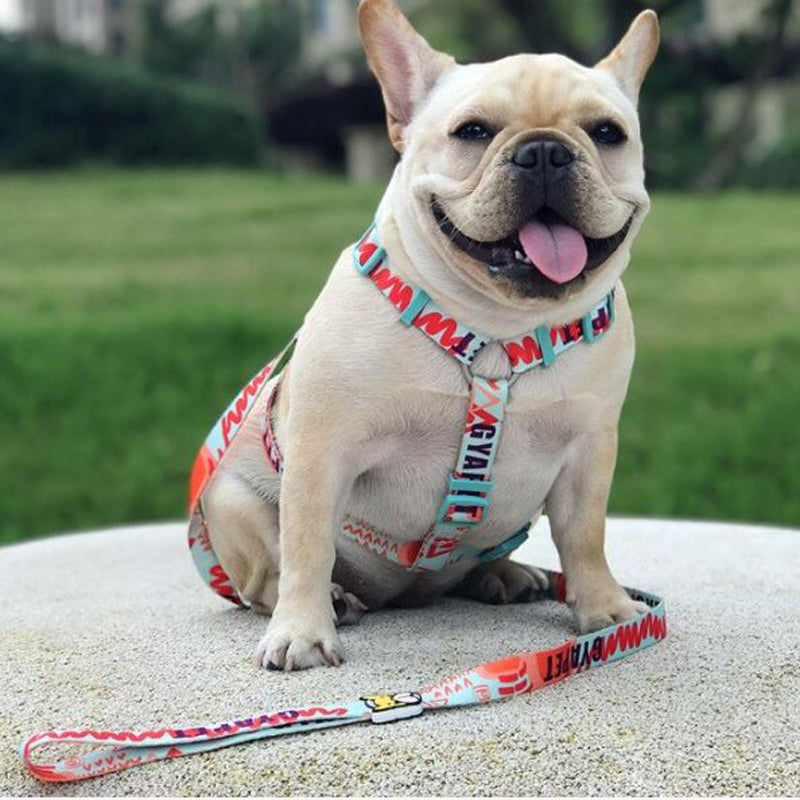 Pawcci Harness & Leash  Elite French Bulldog Harness Set