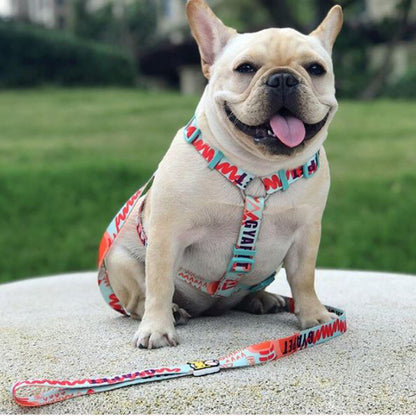 Elite French Bulldog No Pull Fashion Harness And Leash Set (WS0423) 