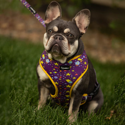 The Astronaut - Frenchie Harness By MeeLo - Frenchie Bulldog Shop