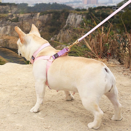 Frenchie-No-Pull-Harness-Leash-Set-Combining-Comfort-with-Control-www.frenchie.shop