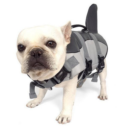 Jacket Swimwear for French bulldogs : Shark life vest (WS57) - Frenchie Bulldog Shop