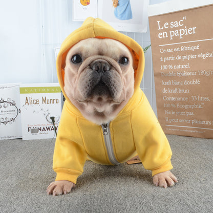 Warm Hoodie for Frenchies (CS6) - Frenchie Bulldog Shop