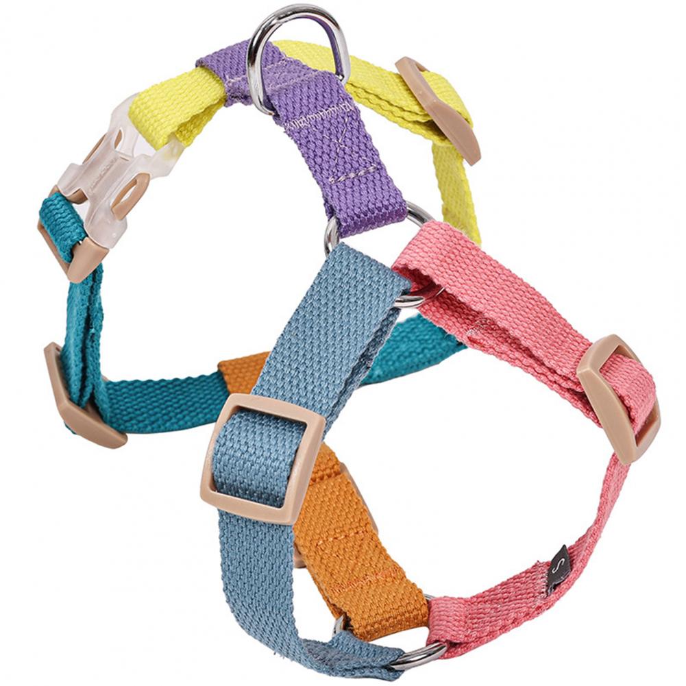 Frenchie hotsell strap harness