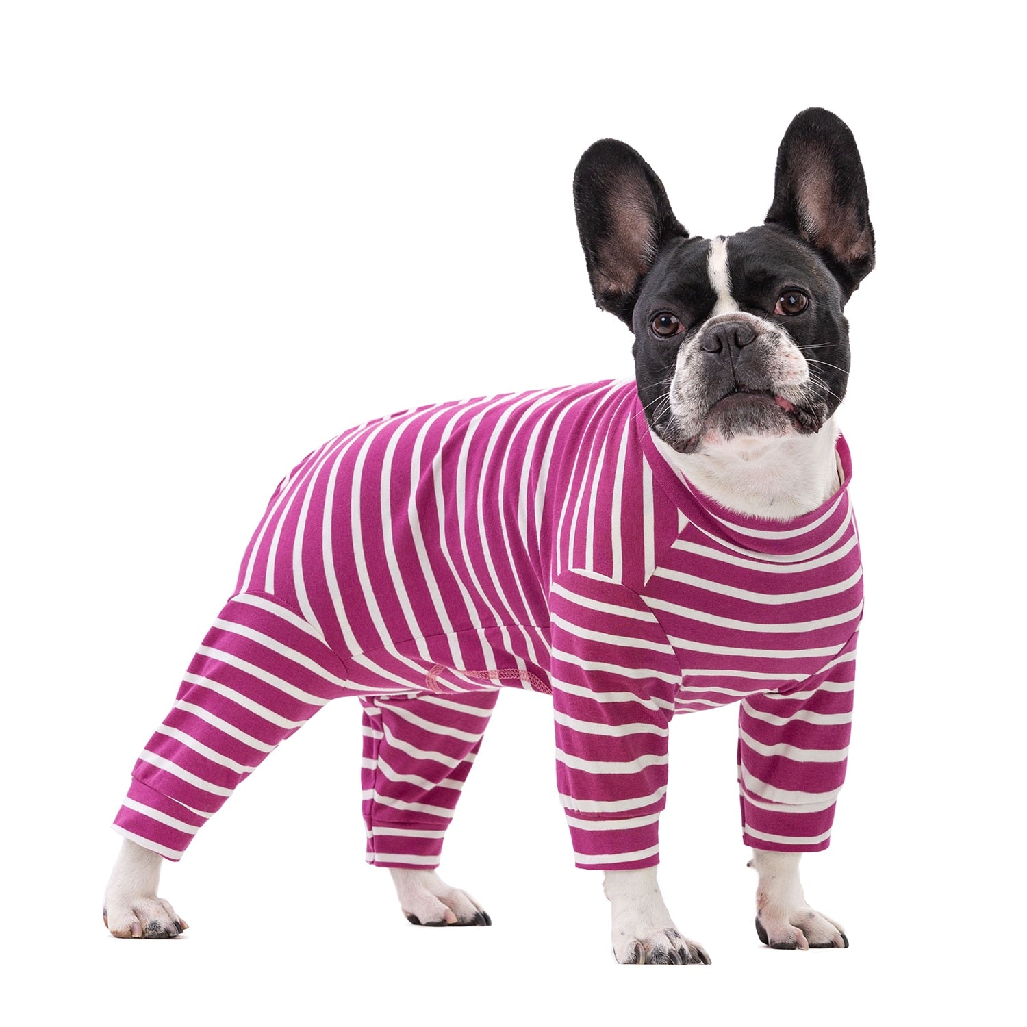 Frenchie pajamas online