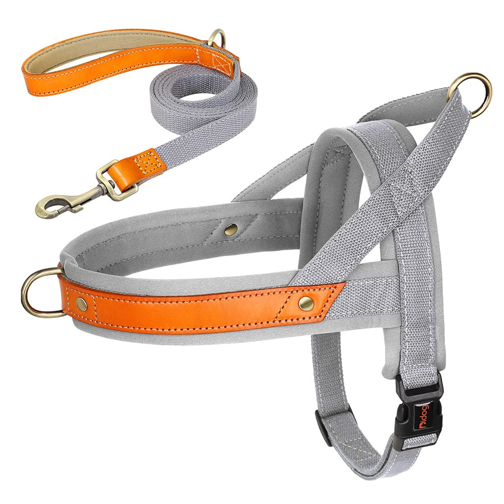 French Bulldog No Pull Collar Harness Leash Set WS0223 frenchie Shop