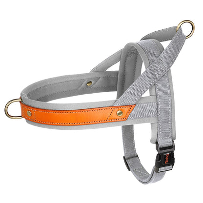 French Bulldog No Pull Collar Harness Leash Set (WS0223) - Frenchie Bulldog Shop