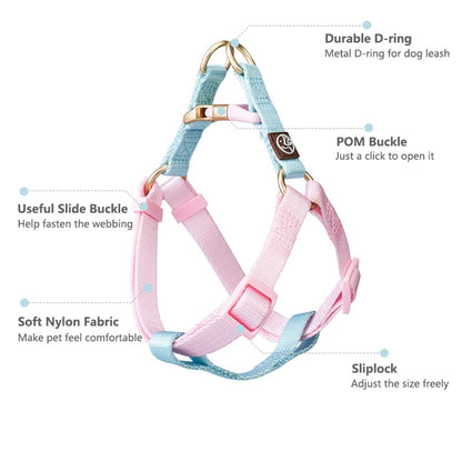 Frenchie-No-Pull-Harness-Leash-Set-Combining-Comfort-with-Control-www.frenchie.shop