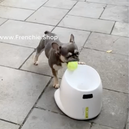 BalliFly TM : AUTOMATIC TENNIS BALL LAUNCHER - Frenchie Bulldog Shop