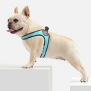 Easy-Walk™ - No Pull French Bulldog Harness (WS601) – frenchie Shop