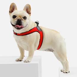 Easy-Walk™ - No Pull French Bulldog Harness (WS601) – frenchie Shop