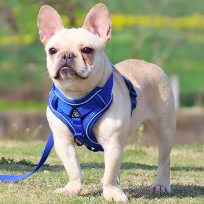 Reluxy™ -French Bulldog Harness Leash Set (WK01) - Frenchie Bulldog Shop