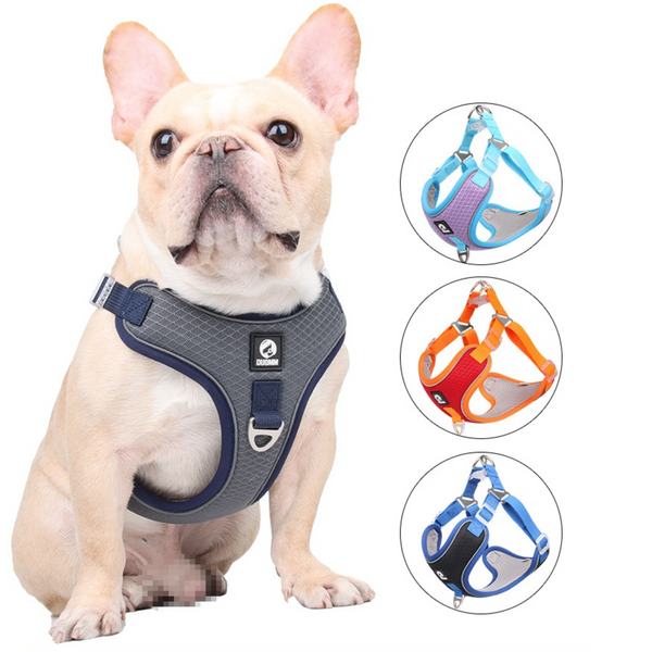 PawsMotion Premium French Bulldog Harness Vest with Leash Ultimate Walking  Companion