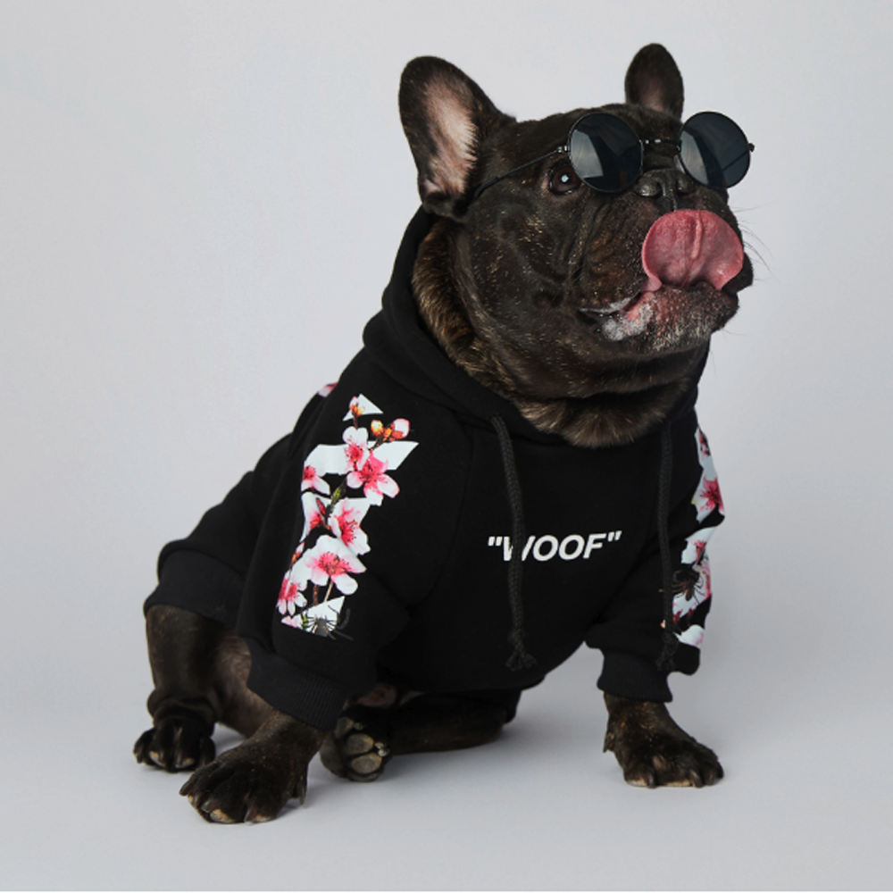 Frenchie bulldog outlet store