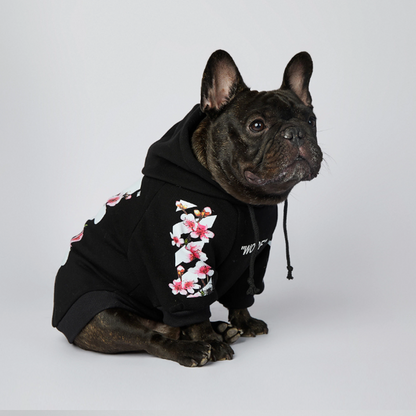 Adidas french bulldog hoodie best sale