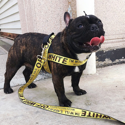 Luxury Leash & Harness Set for French Bulldog (WS311) - Frenchie Bulldog Shop