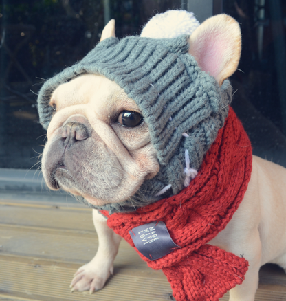 Winter Woolen Hat for French Bulldog - Frenchie Bulldog Shop